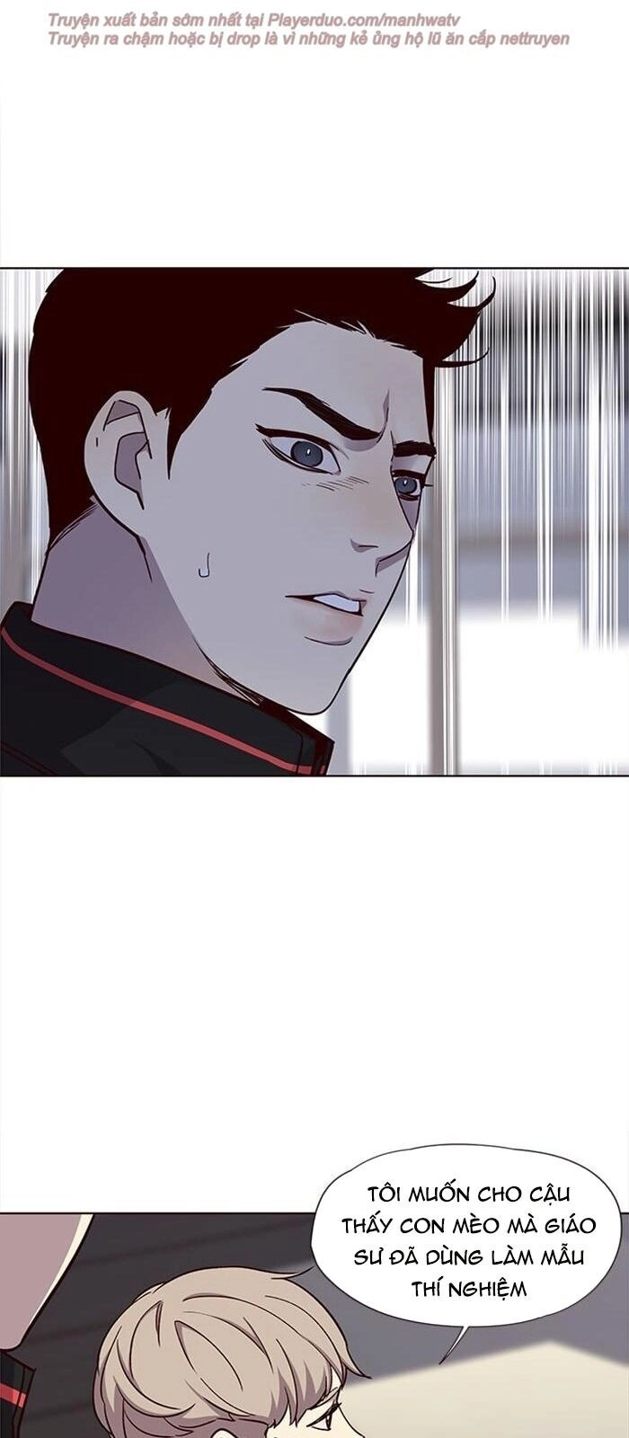 Hoá Thân Thành Mèo Chapter 34 - 92