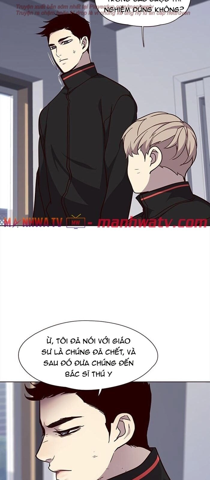 Hoá Thân Thành Mèo Chapter 34 - 100