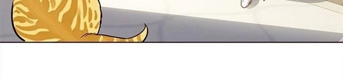 Hoá Thân Thành Mèo Chapter 34 - 107