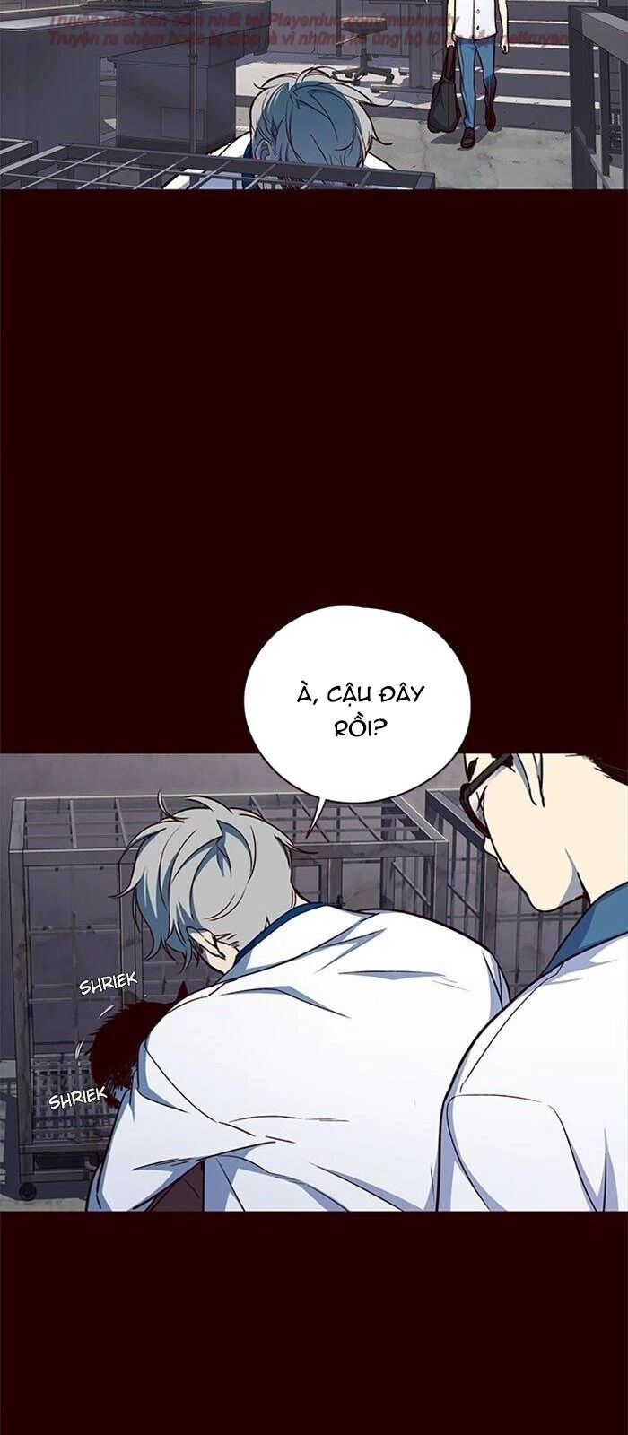 Hoá Thân Thành Mèo Chapter 36 - 14