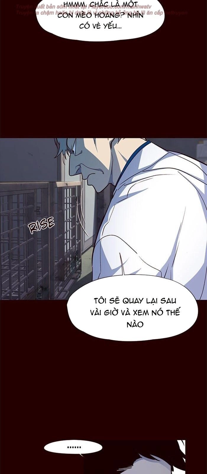 Hoá Thân Thành Mèo Chapter 36 - 20