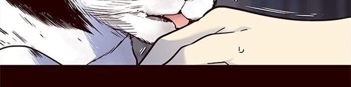 Hoá Thân Thành Mèo Chapter 36 - 29