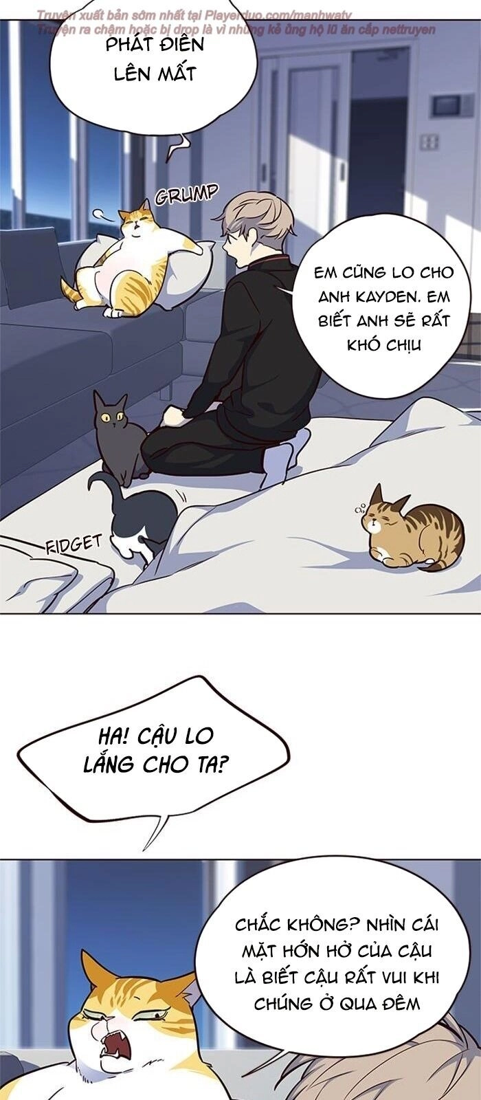 Hoá Thân Thành Mèo Chapter 36 - 76