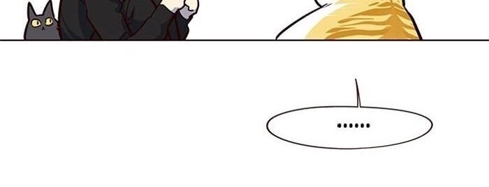 Hoá Thân Thành Mèo Chapter 36 - 79