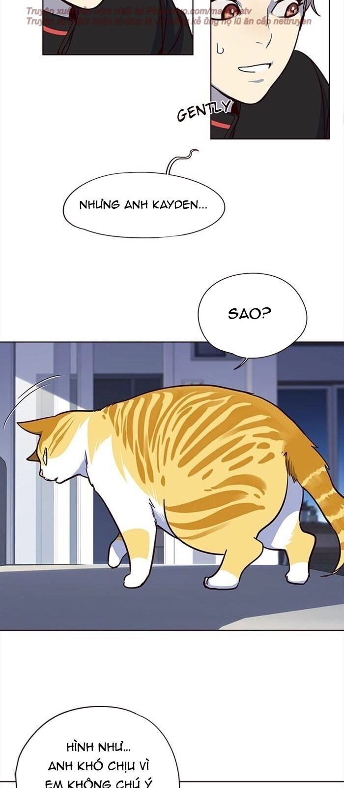 Hoá Thân Thành Mèo Chapter 36 - 84