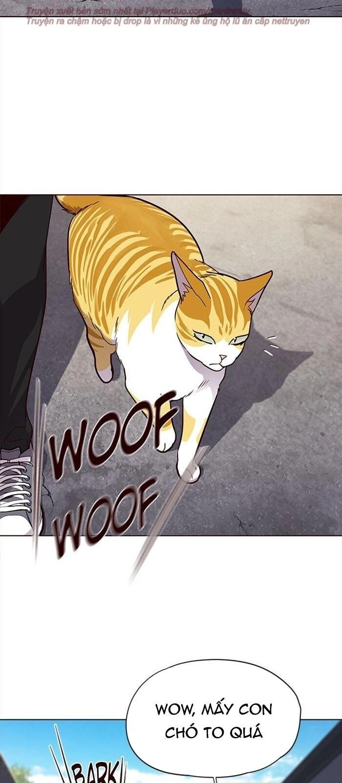 Hoá Thân Thành Mèo Chapter 36 - 104