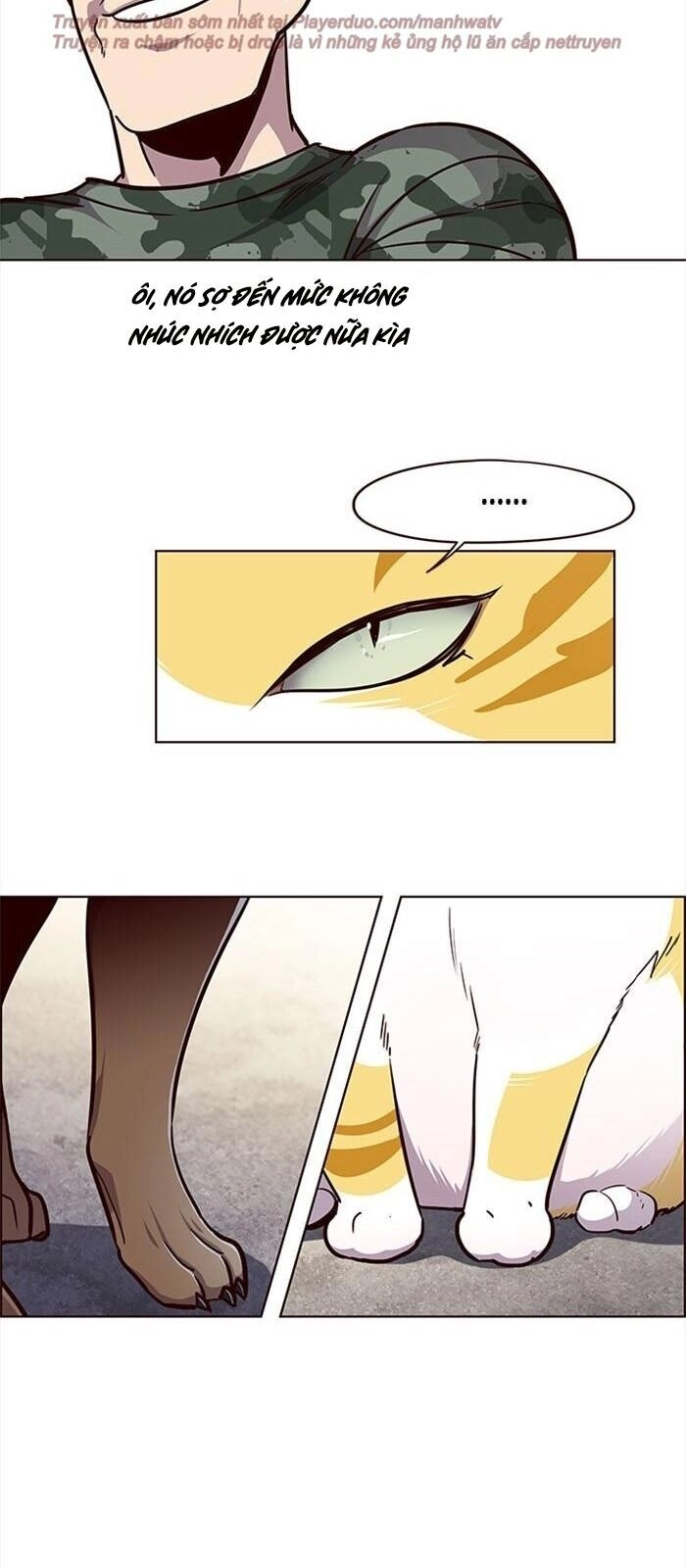 Hoá Thân Thành Mèo Chapter 36 - 118