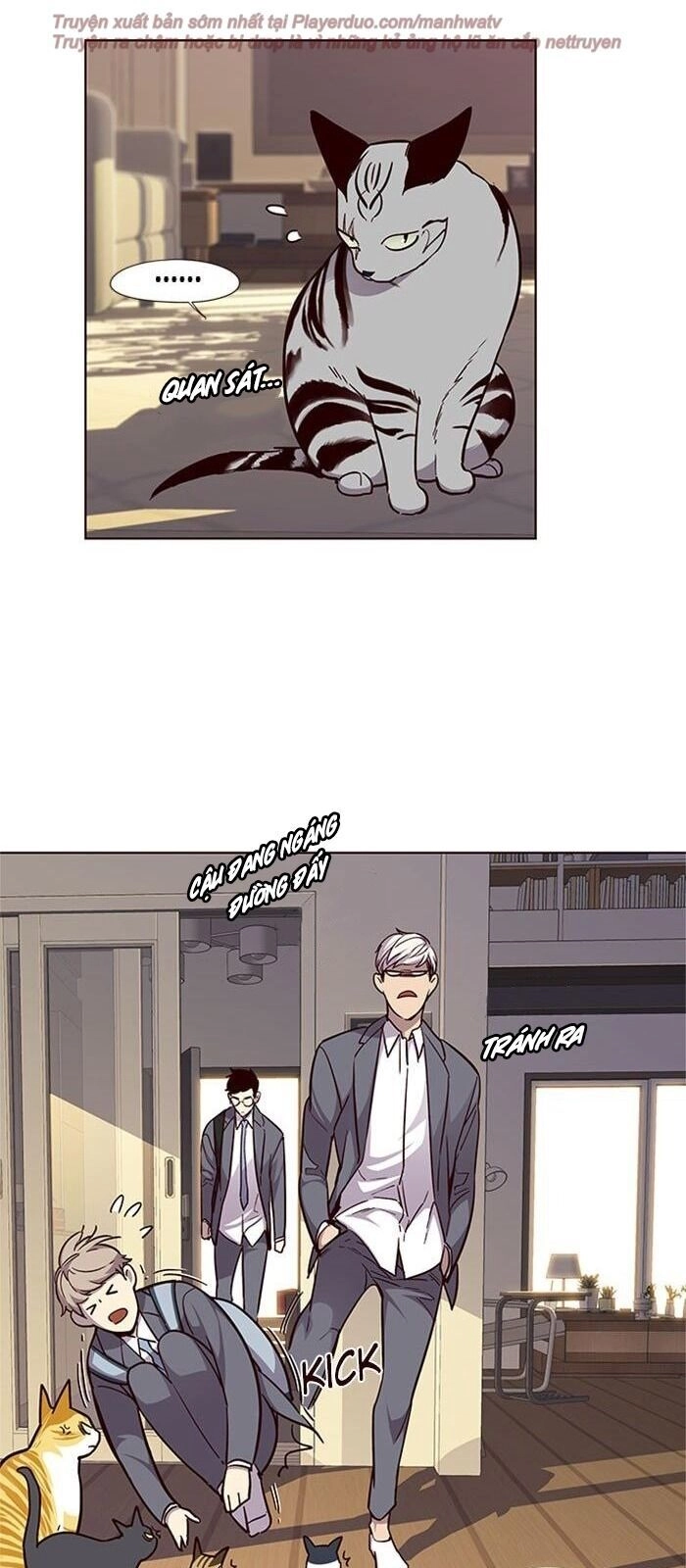 Hoá Thân Thành Mèo Chapter 38 - 34