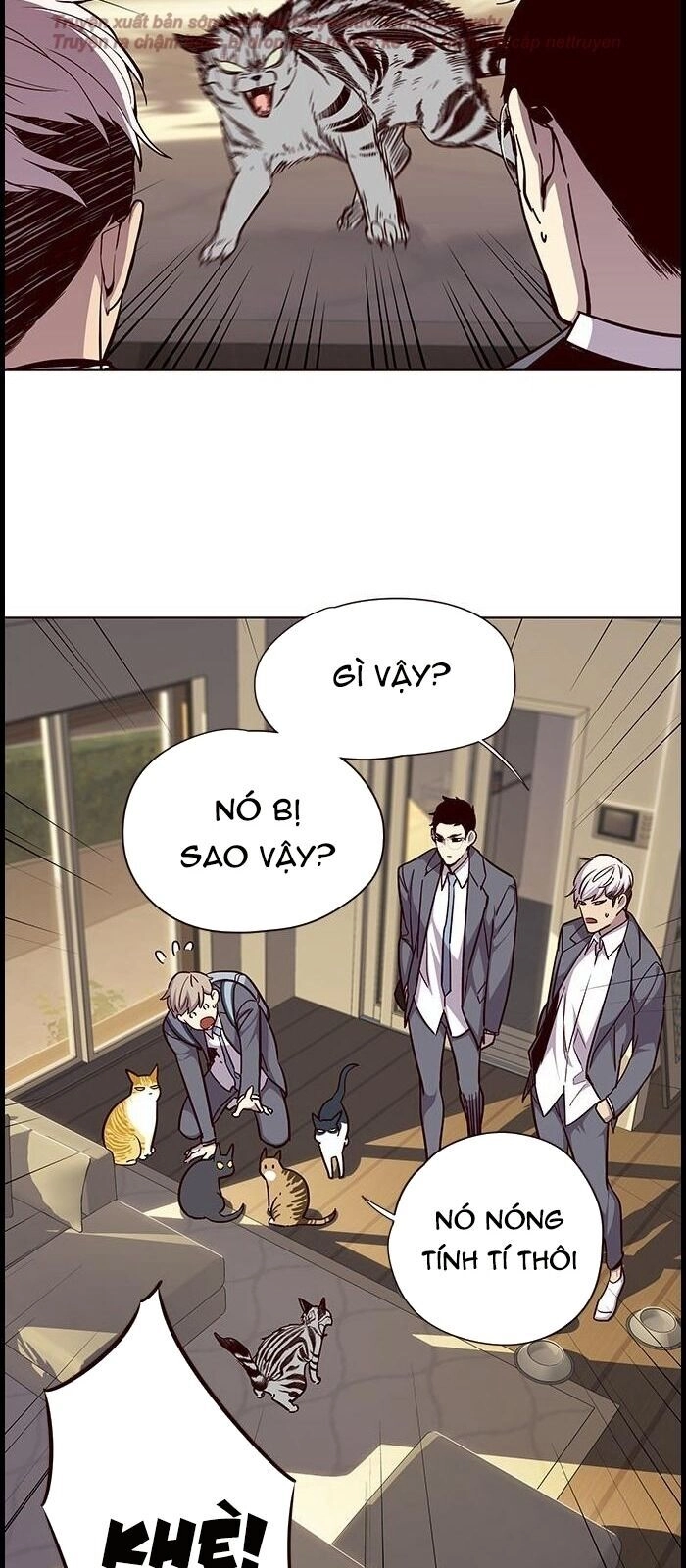 Hoá Thân Thành Mèo Chapter 38 - 38