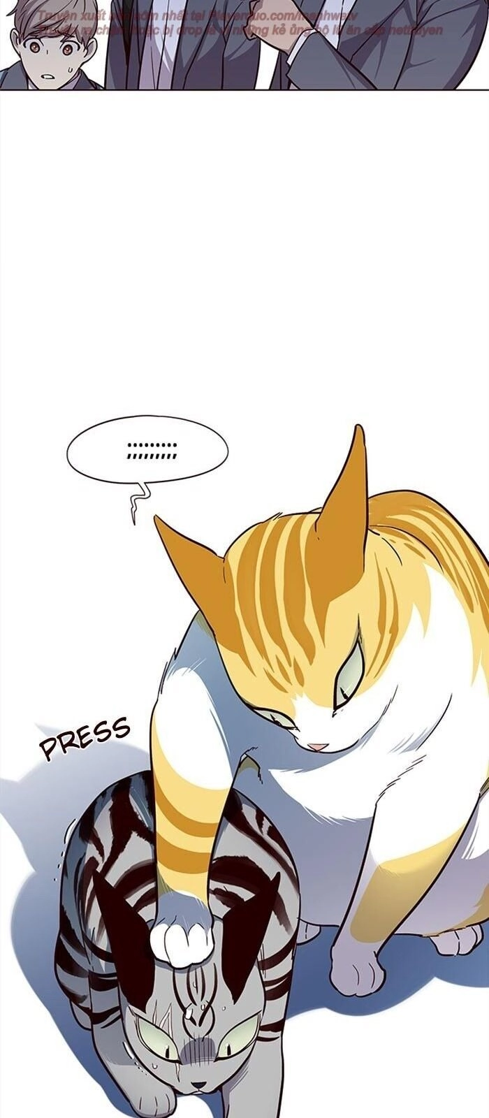 Hoá Thân Thành Mèo Chapter 38 - 44