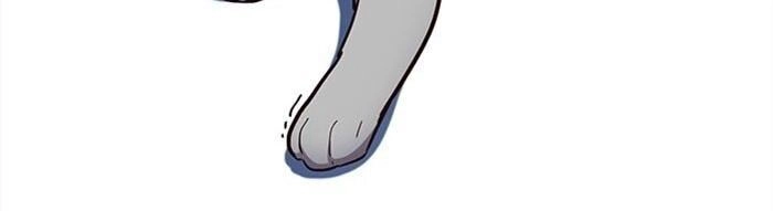 Hoá Thân Thành Mèo Chapter 38 - 45