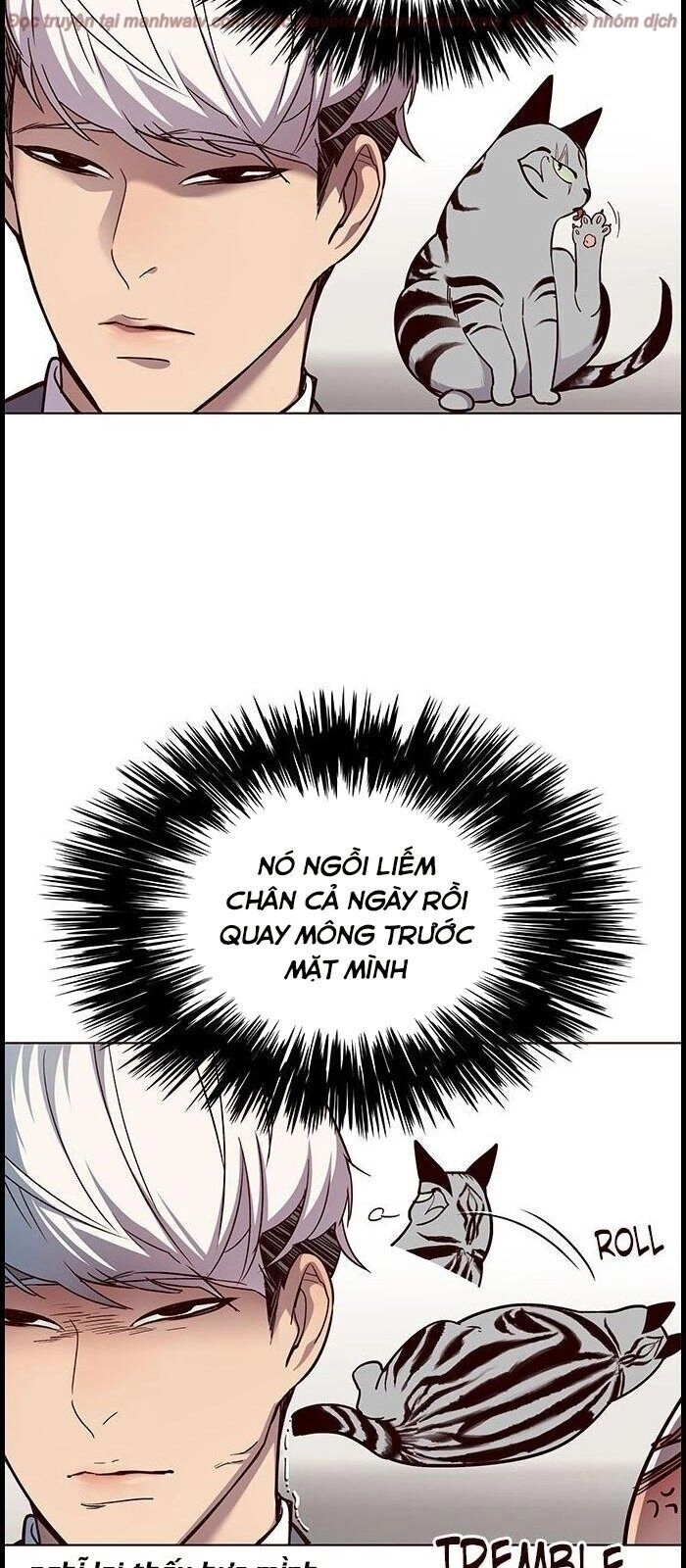 Hoá Thân Thành Mèo Chapter 39 - 16