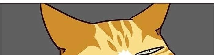 Hoá Thân Thành Mèo Chapter 39 - 19