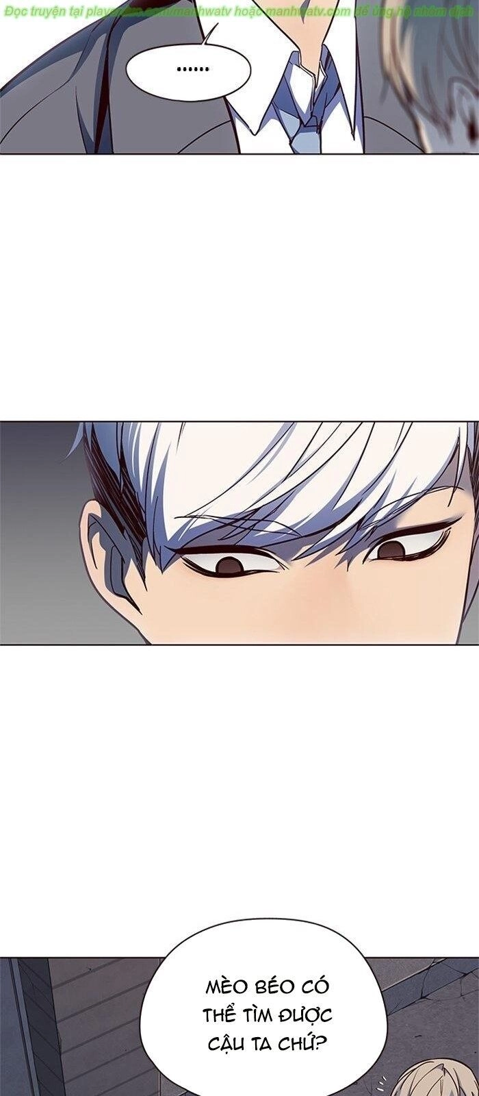 Hoá Thân Thành Mèo Chapter 41 - 62