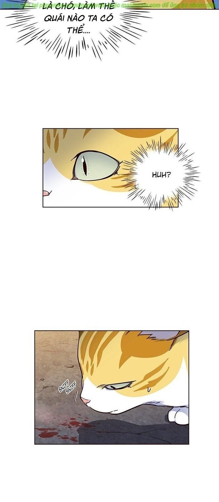 Hoá Thân Thành Mèo Chapter 41 - 68