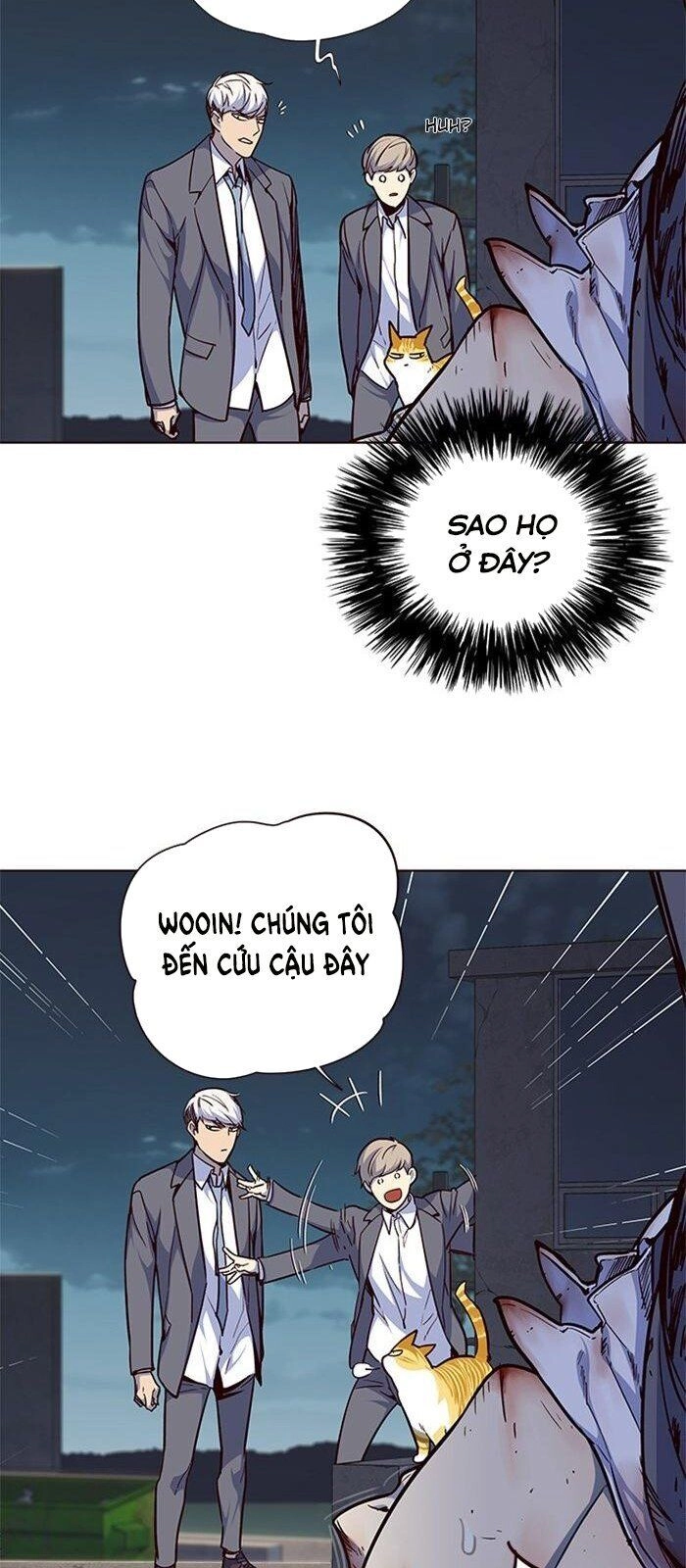 Hoá Thân Thành Mèo Chapter 42 - 12