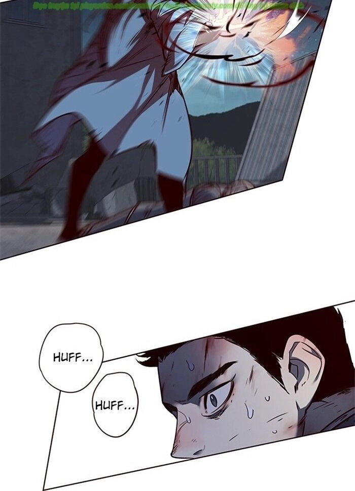 Hoá Thân Thành Mèo Chapter 44 - 52