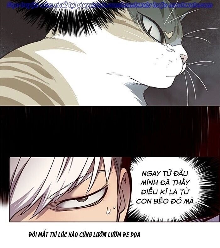 Hoá Thân Thành Mèo Chapter 46 - 50