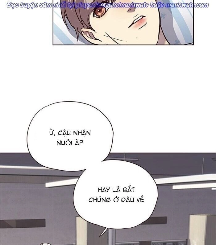 Hoá Thân Thành Mèo Chapter 46 - 54