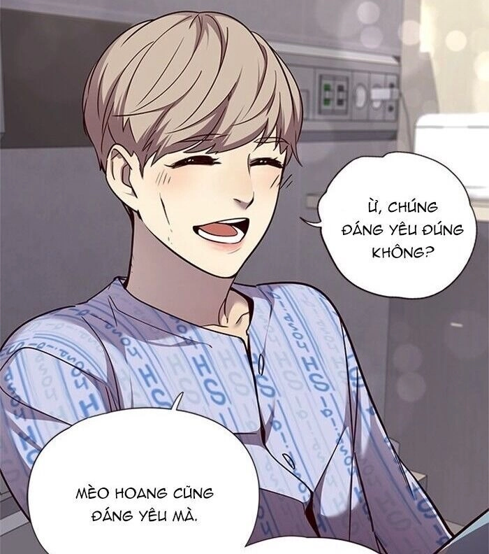 Hoá Thân Thành Mèo Chapter 46 - 57