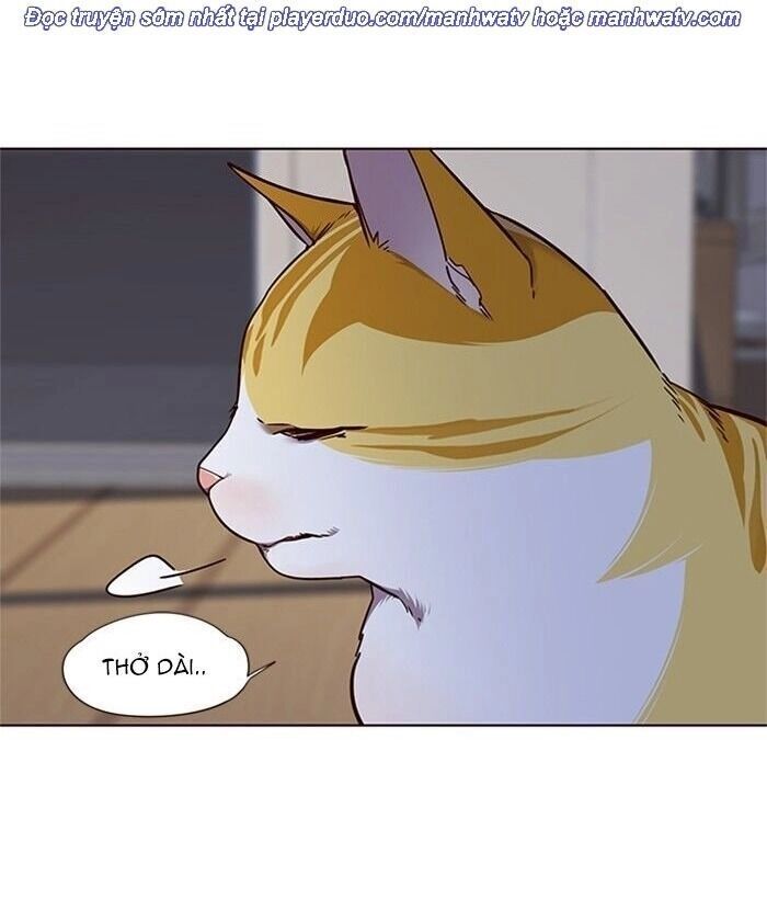 Hoá Thân Thành Mèo Chapter 46 - 84