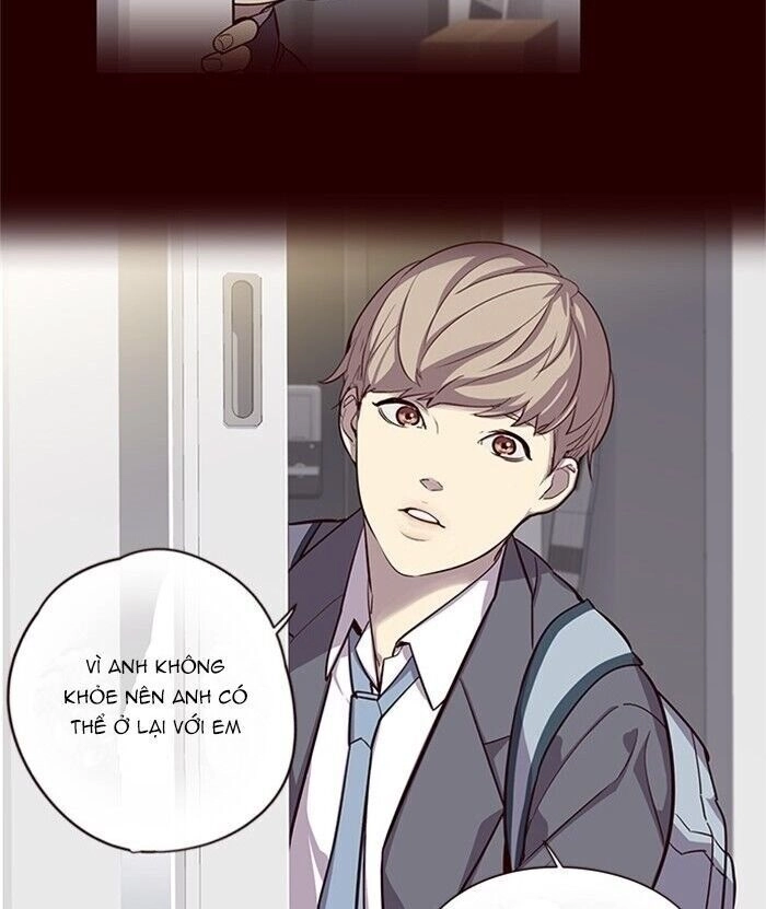 Hoá Thân Thành Mèo Chapter 46 - 95