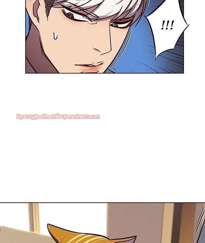 Hoá Thân Thành Mèo Chapter 49 - 77