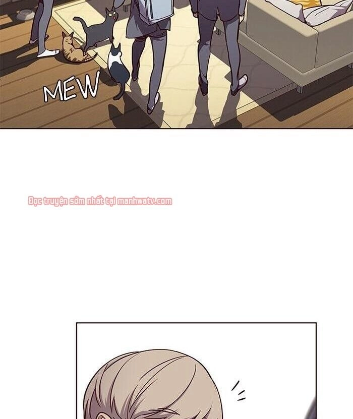 Hoá Thân Thành Mèo Chapter 49 - 81