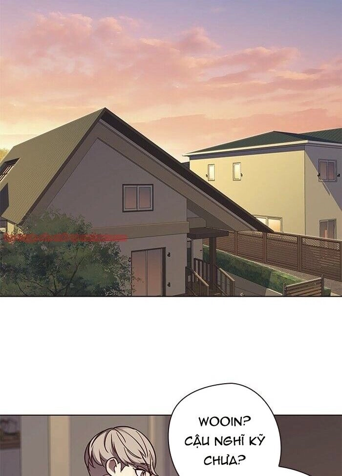 Hoá Thân Thành Mèo Chapter 50 - 3