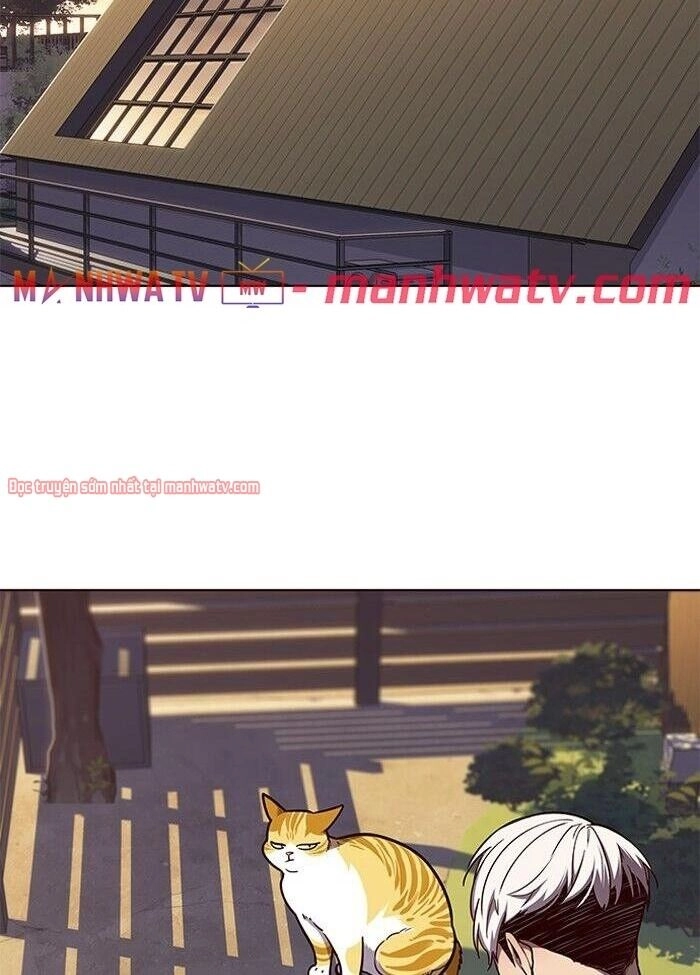 Hoá Thân Thành Mèo Chapter 50 - 25