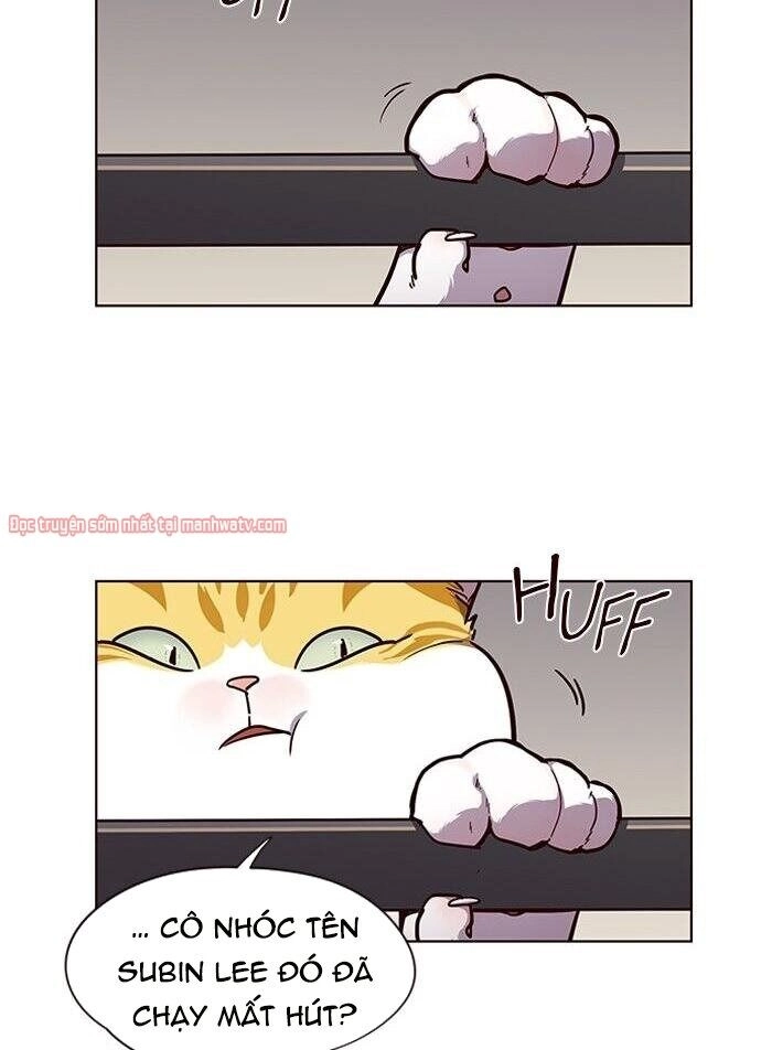 Hoá Thân Thành Mèo Chapter 51 - 4