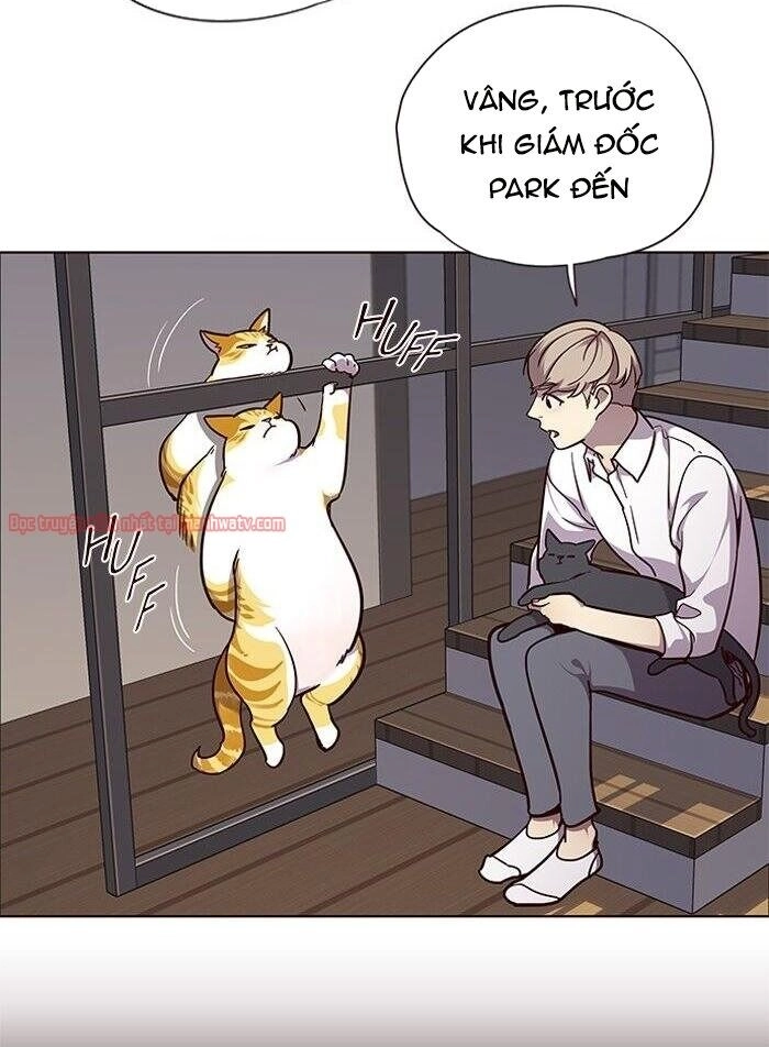 Hoá Thân Thành Mèo Chapter 51 - 5