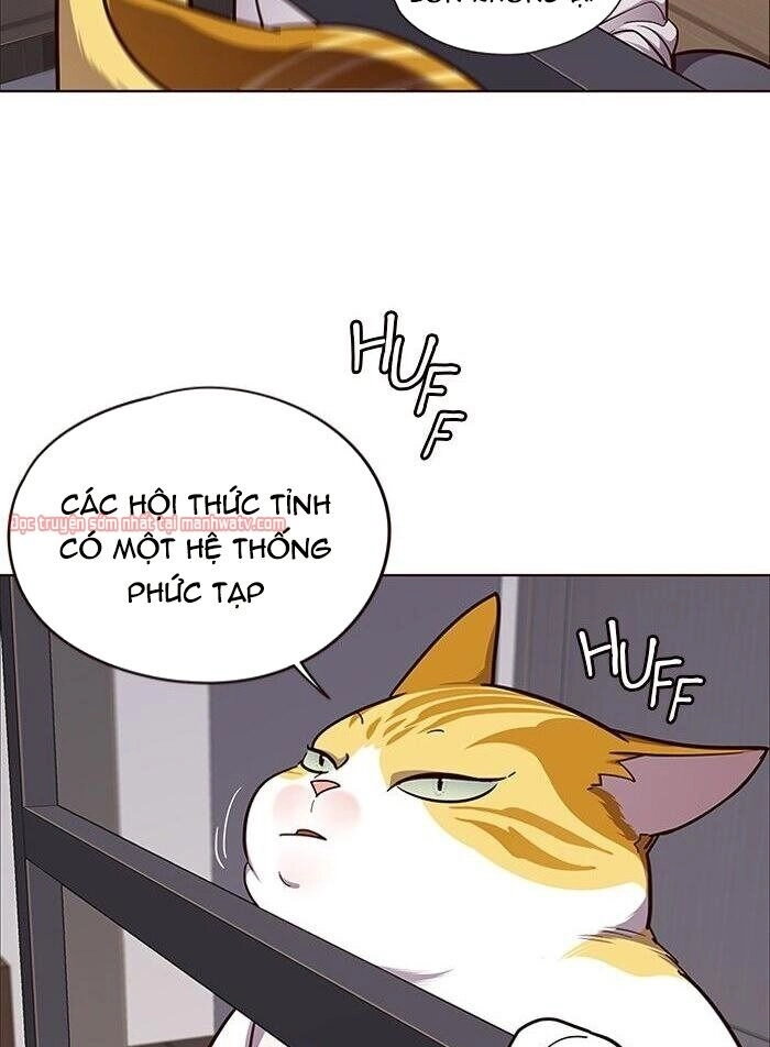 Hoá Thân Thành Mèo Chapter 51 - 14
