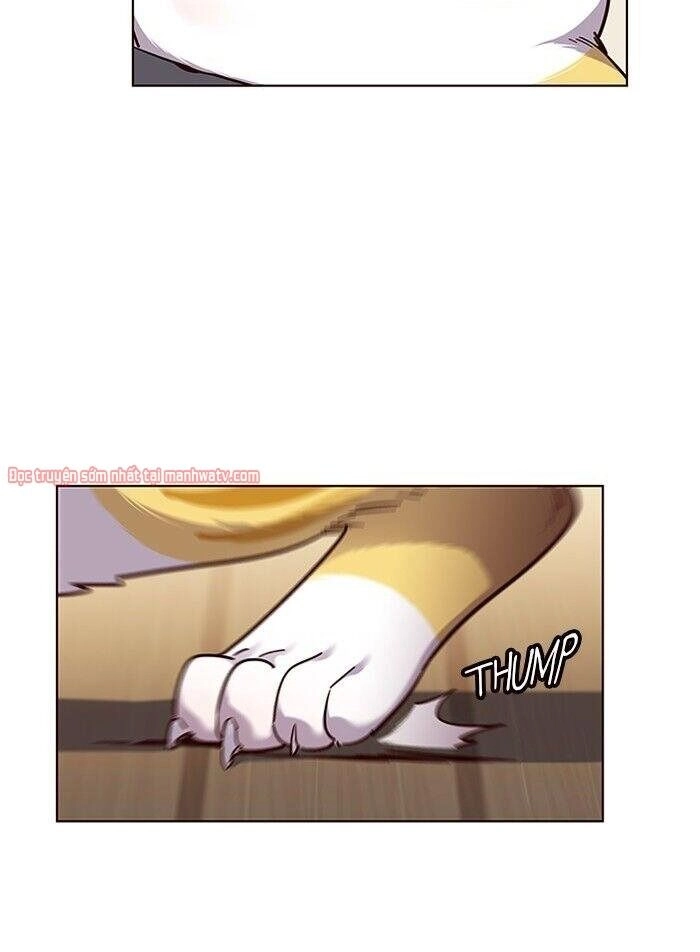 Hoá Thân Thành Mèo Chapter 51 - 21