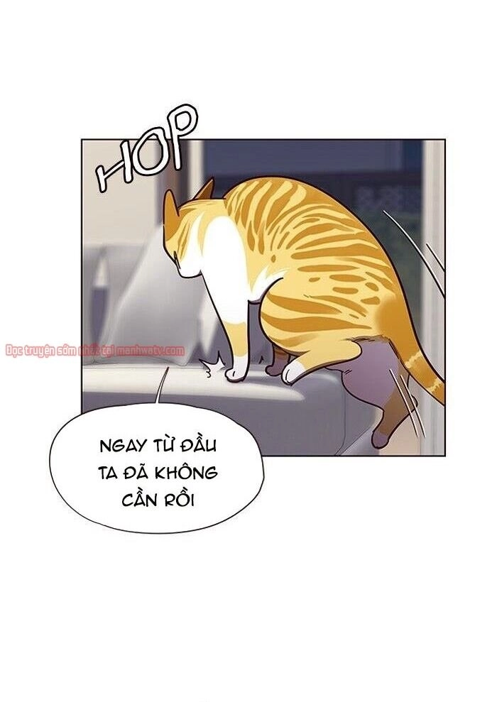 Hoá Thân Thành Mèo Chapter 51 - 30