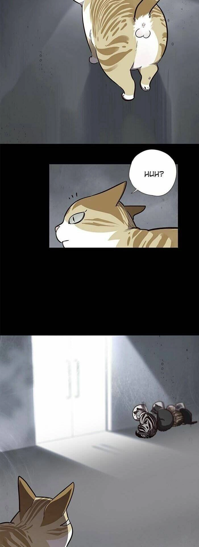 Hoá Thân Thành Mèo Chapter 56 - 4