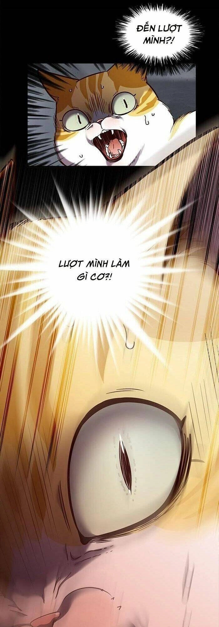 Hoá Thân Thành Mèo Chapter 56 - 9