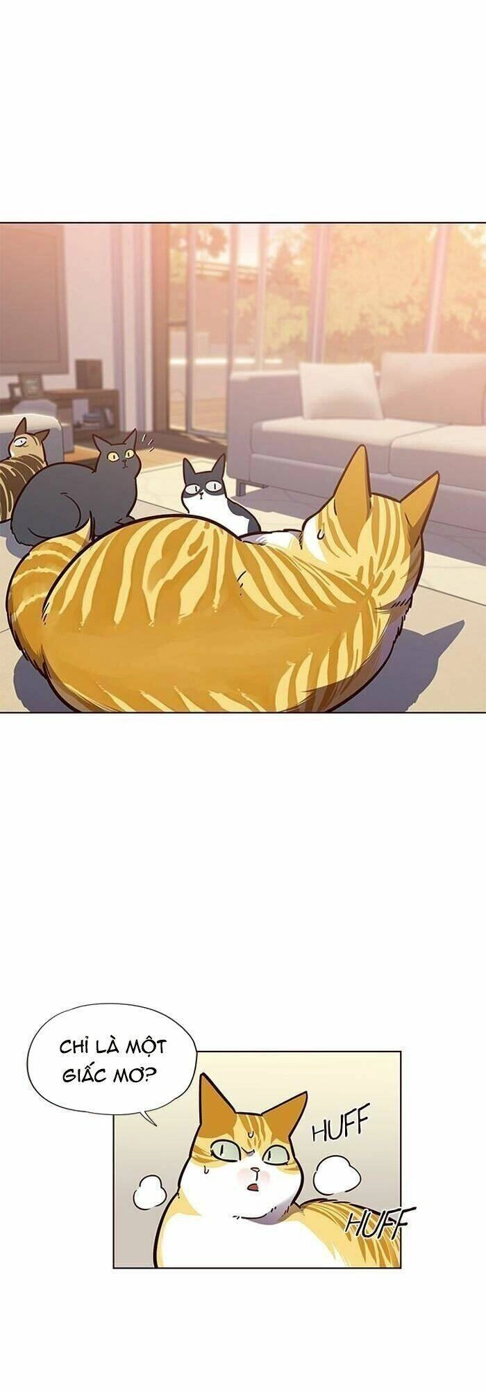 Hoá Thân Thành Mèo Chapter 56 - 12