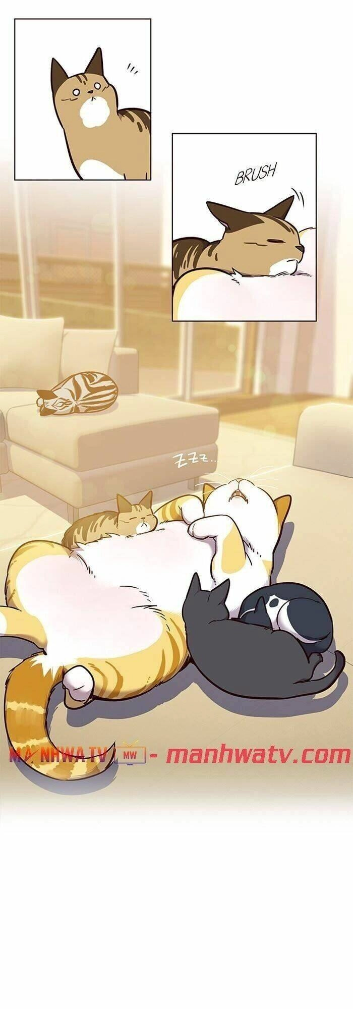 Hoá Thân Thành Mèo Chapter 56 - 15