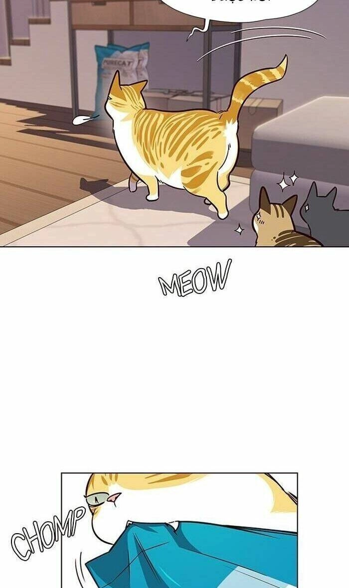 Hoá Thân Thành Mèo Chapter 56 - 37