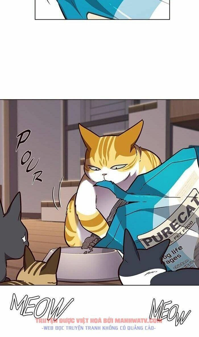 Hoá Thân Thành Mèo Chapter 56 - 38