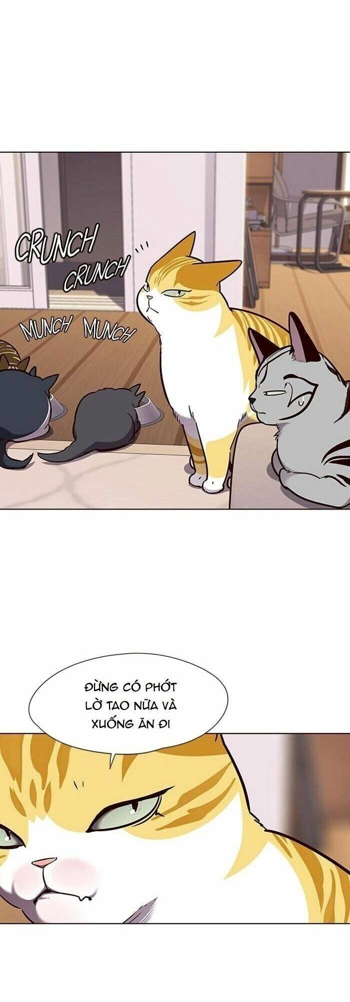 Hoá Thân Thành Mèo Chapter 56 - 39