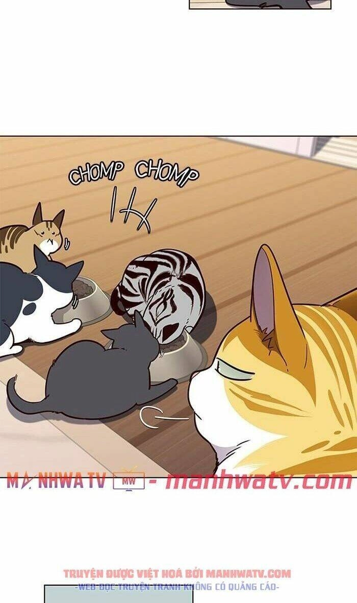 Hoá Thân Thành Mèo Chapter 56 - 42