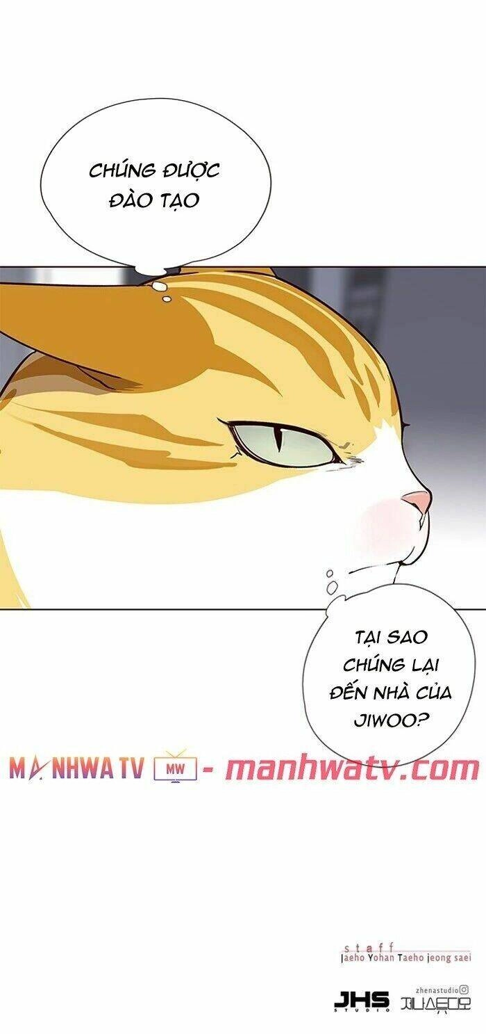 Hoá Thân Thành Mèo Chapter 57 - 54