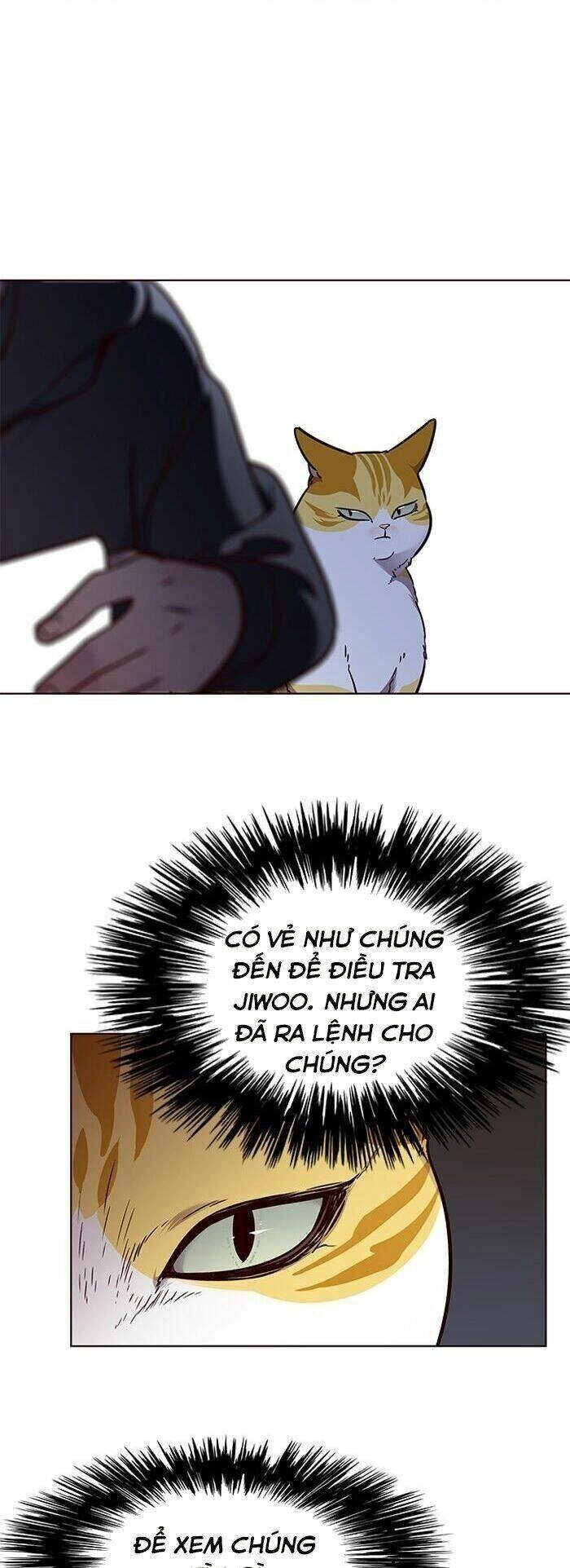 Hoá Thân Thành Mèo Chapter 58 - 4