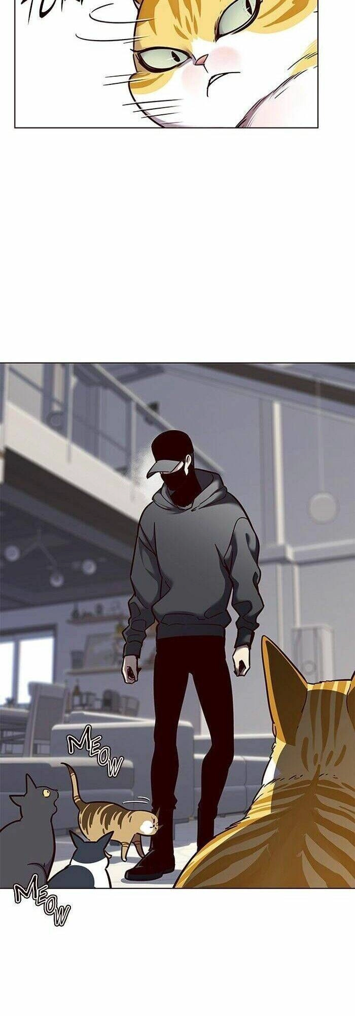 Hoá Thân Thành Mèo Chapter 58 - 6