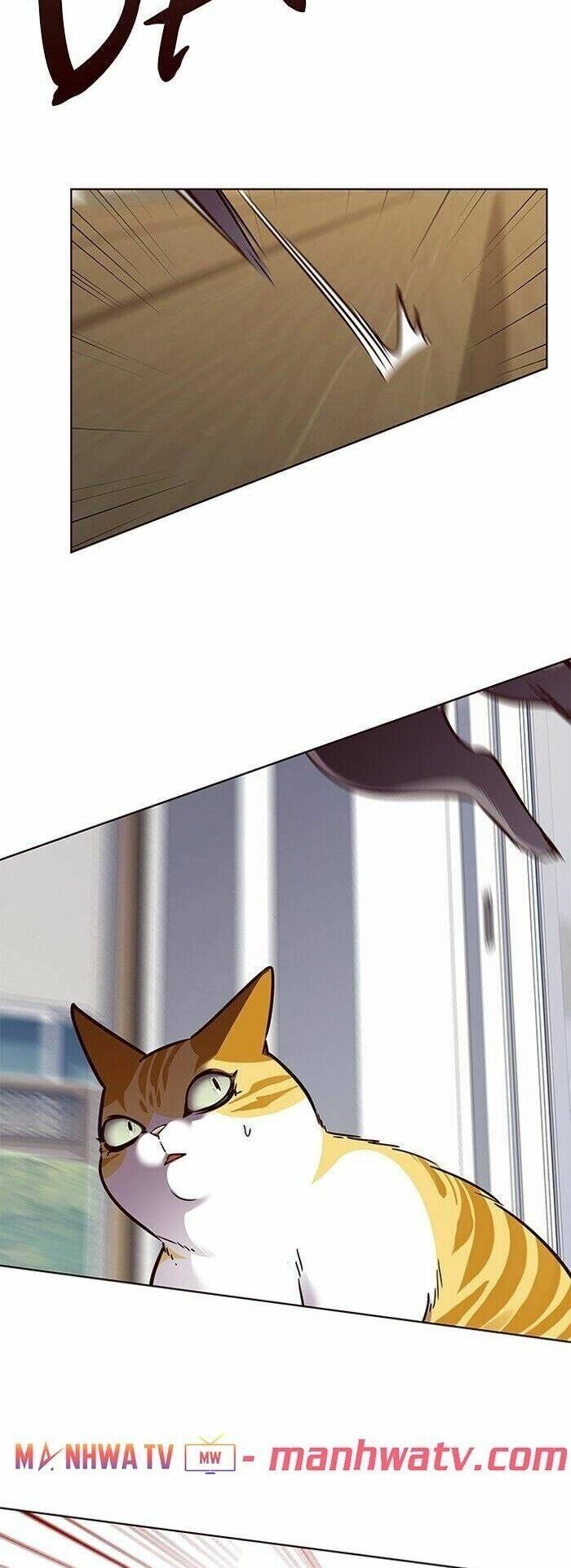 Hoá Thân Thành Mèo Chapter 58 - 10