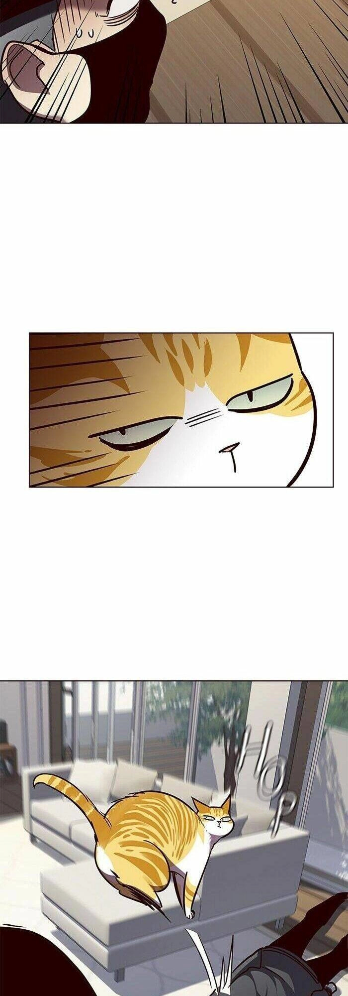 Hoá Thân Thành Mèo Chapter 58 - 21