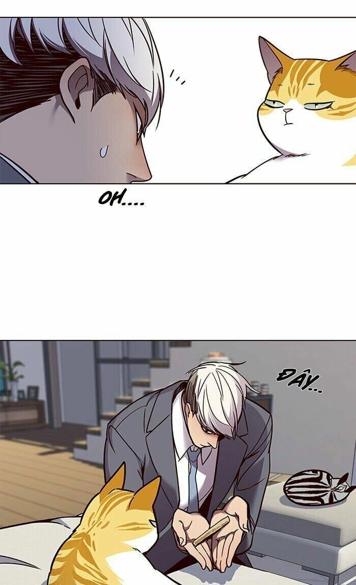 Hoá Thân Thành Mèo Chapter 60 - 47