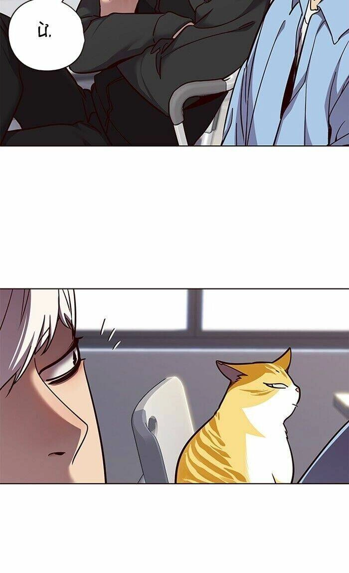 Hoá Thân Thành Mèo Chapter 62 - 56